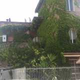 Il palazzo ricoperto di foglie in via Salvemini a Grumo Appula